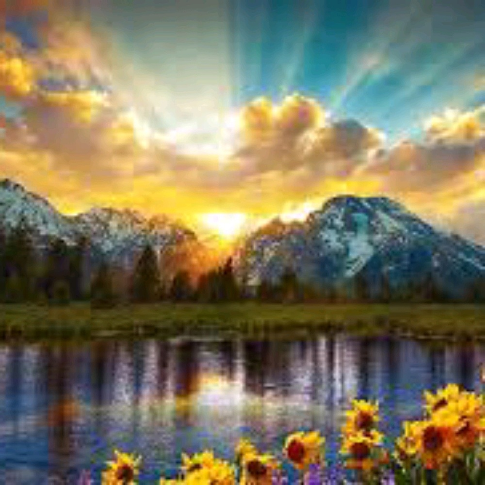 Meet your Posher, Alicia